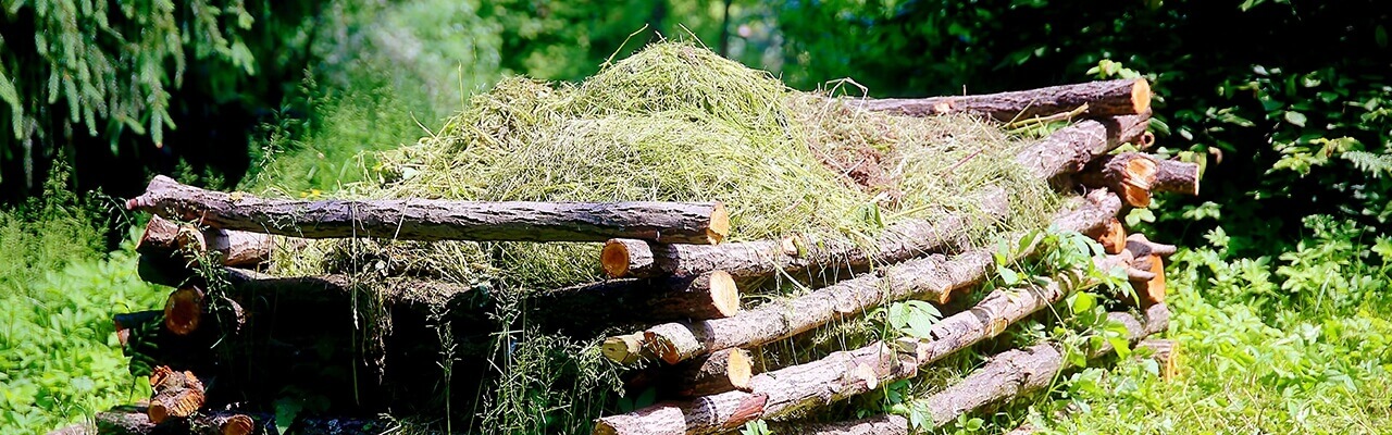 Compostiera giardino Scarti Organici Domestici