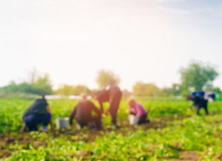 Reato di sfruttamento del lavoro