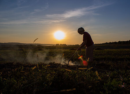  Caporalato: una rondine non fa primavera