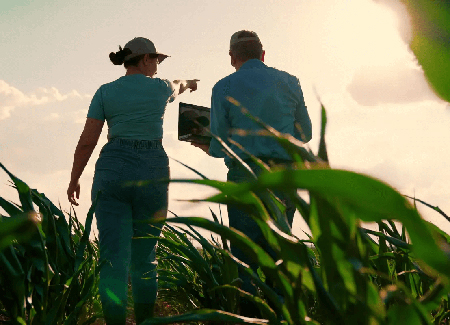 Legge di Bilancio: bene l’agricoltura, ma le categorie chiedono di più