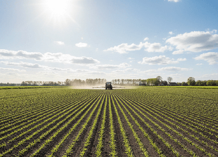 Lavoro occasionale in agricoltura: proroga fino al 31.12.2025