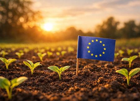 Direttiva Omnibus e impatti sulla due diligence di sostenibilità