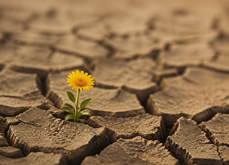 Resilienza in tempi di crisi mondiale