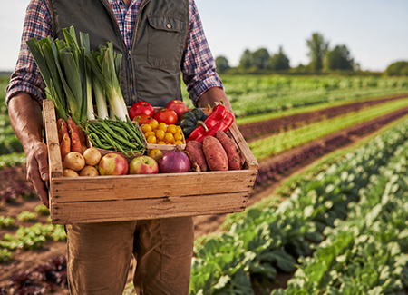 Inquadramento delle imprese ortofrutticole